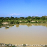 Ratargul Swamp Forest_23